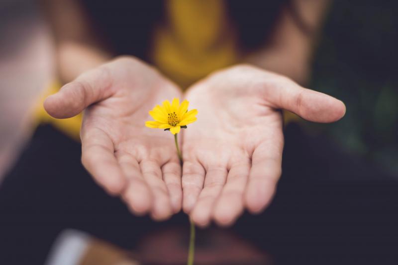 Psychotherapie 1030 Wien, Psychotherapeut Wien, Paartherapie 1030 Wien, Gruppentherapie 1030 Wien, Kinderpsychotherapie 1030 Wien