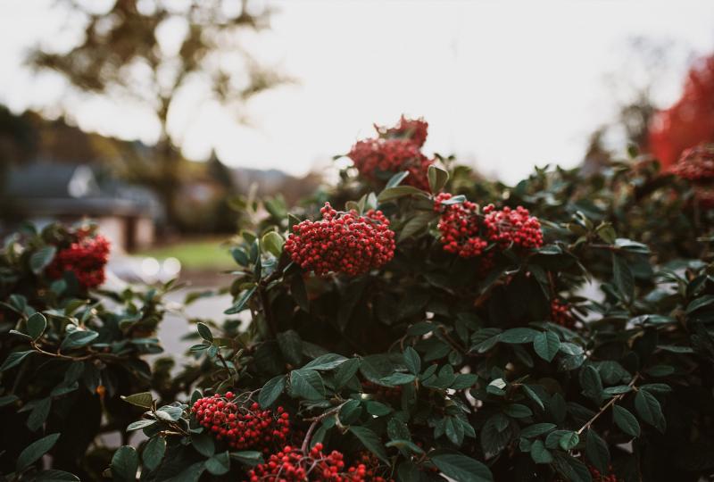 Psychotherapie 1030 Wien, Psychotherapeut Wien, Paartherapie 1030 Wien, Gruppentherapie 1030 Wien, Kinderpsychotherapie 1030 Wien